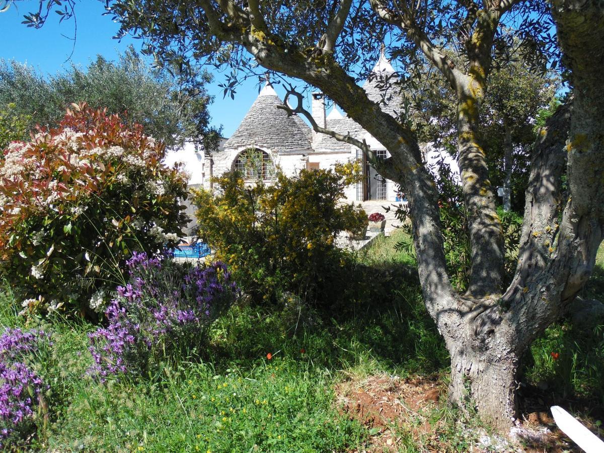 B&B Trulli Sotto La Cupa มาร์ตินาฟรังกา ภายนอก รูปภาพ