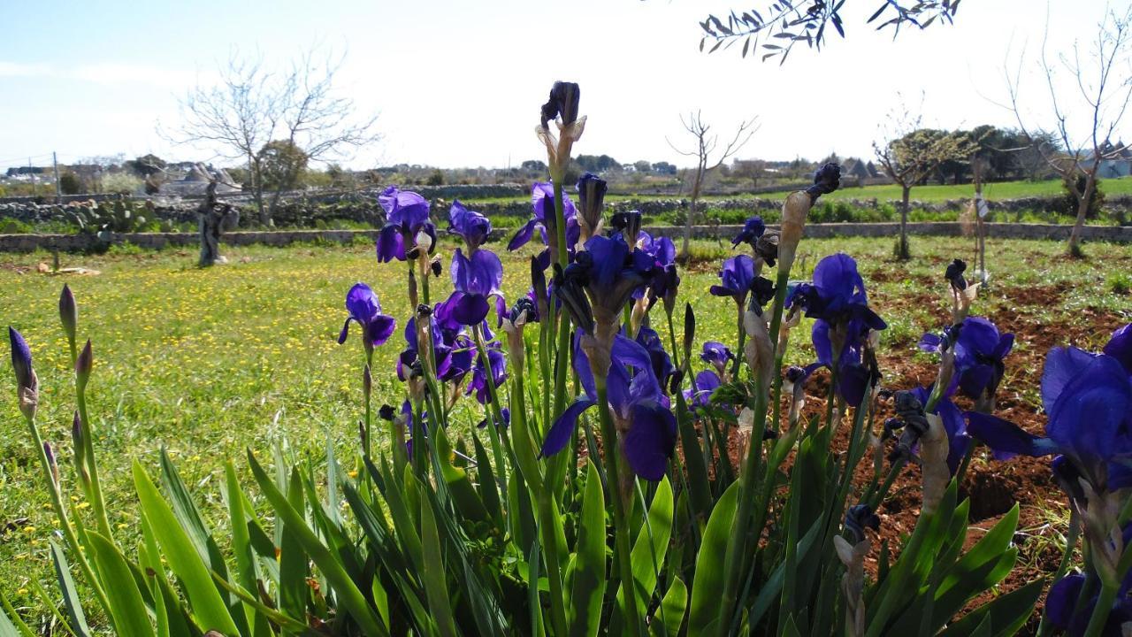 B&B Trulli Sotto La Cupa มาร์ตินาฟรังกา ภายนอก รูปภาพ