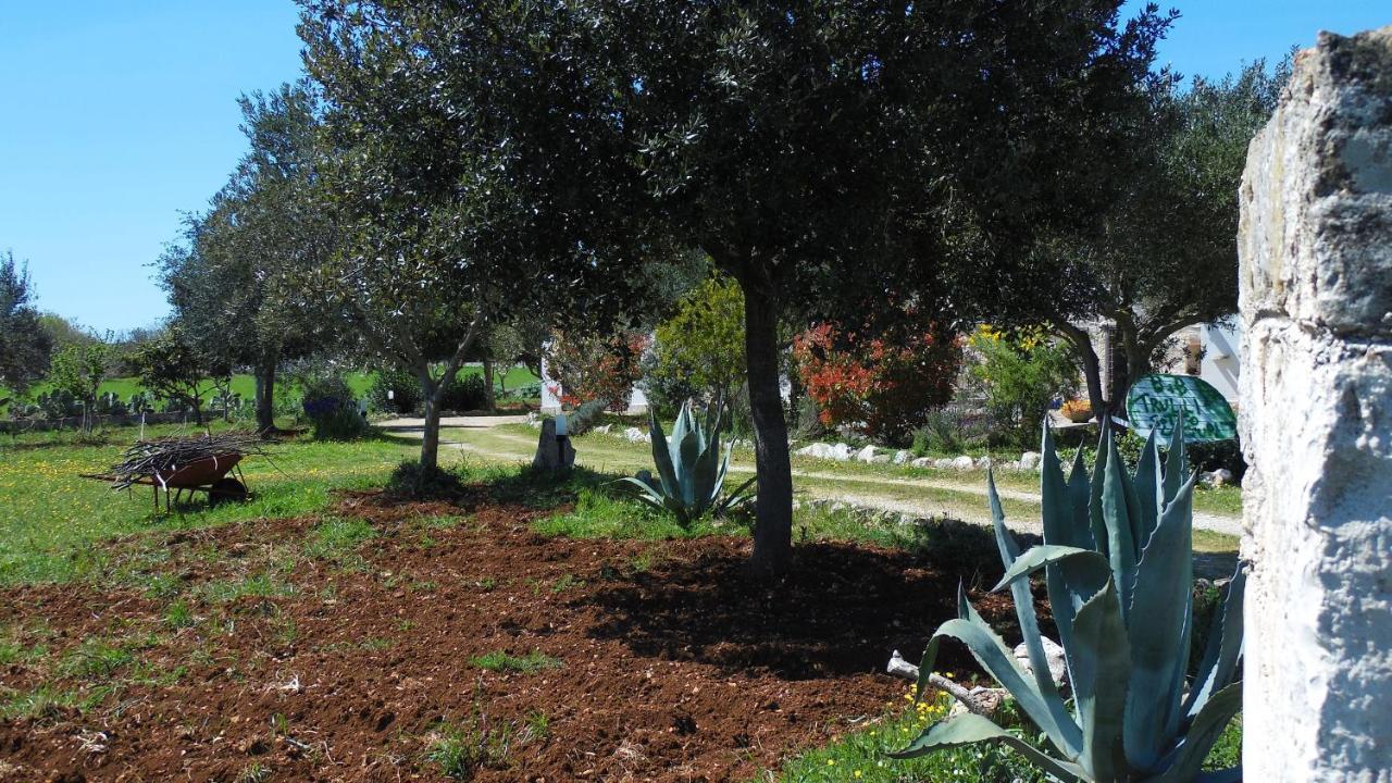B&B Trulli Sotto La Cupa มาร์ตินาฟรังกา ภายนอก รูปภาพ