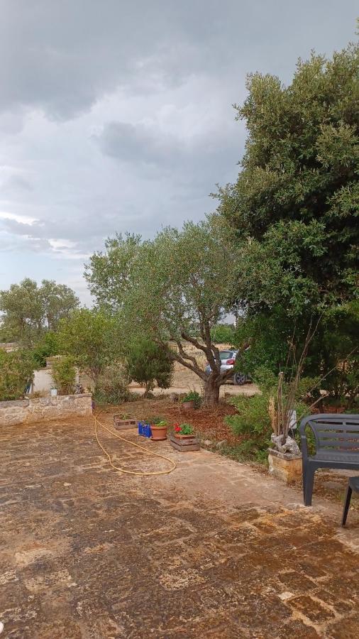 B&B Trulli Sotto La Cupa มาร์ตินาฟรังกา ภายนอก รูปภาพ