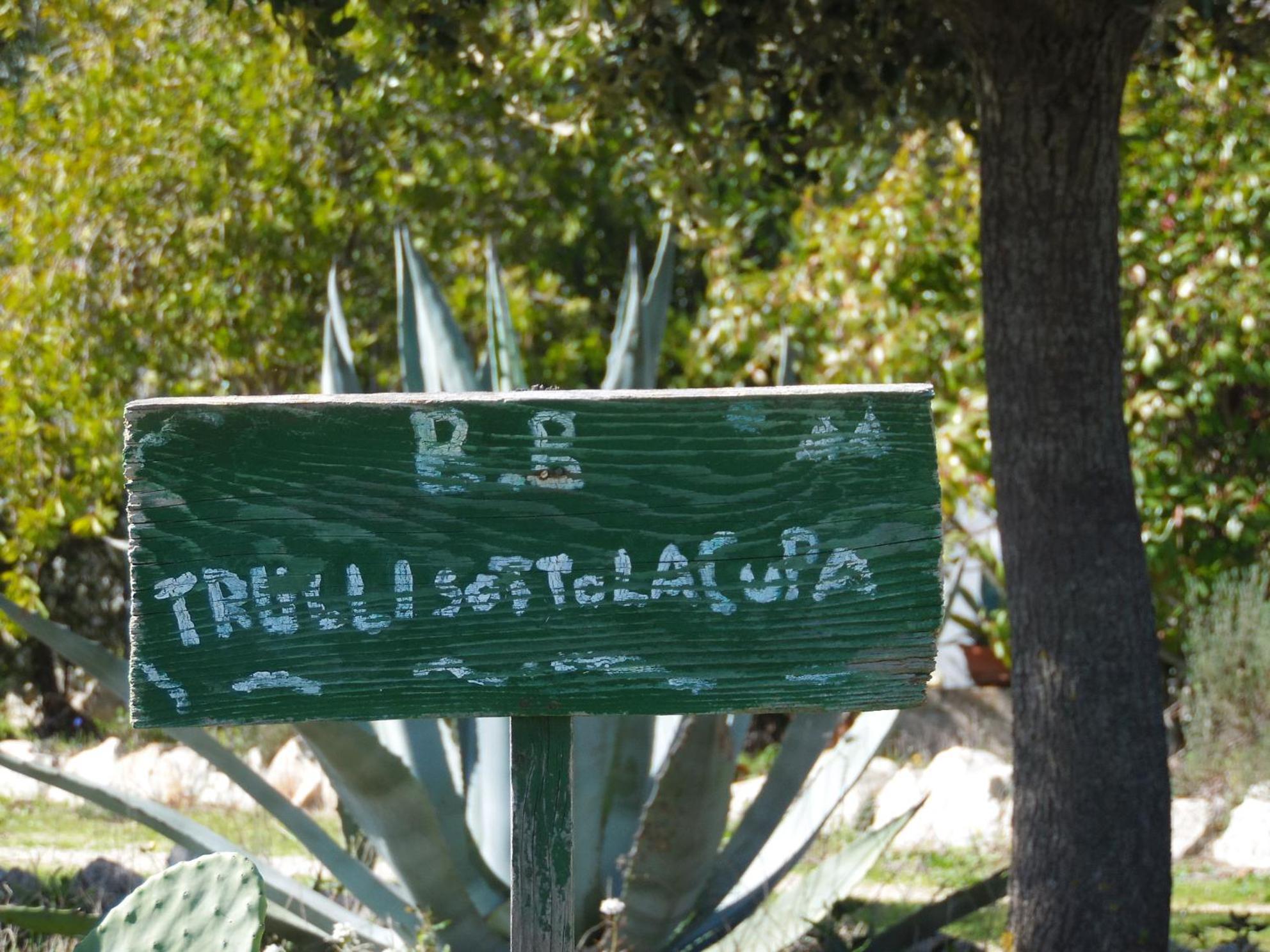 B&B Trulli Sotto La Cupa มาร์ตินาฟรังกา ภายนอก รูปภาพ