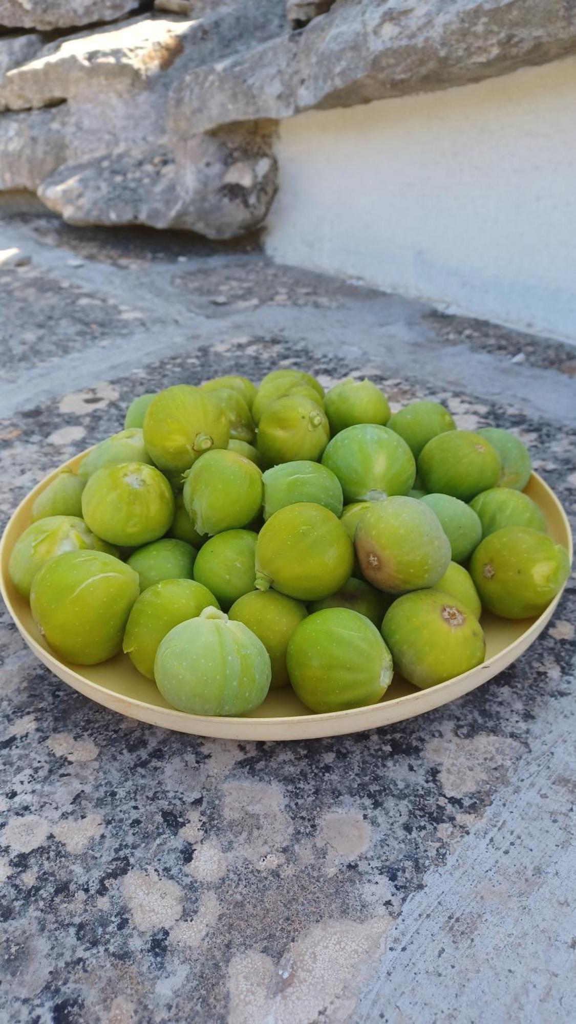 B&B Trulli Sotto La Cupa มาร์ตินาฟรังกา ภายนอก รูปภาพ